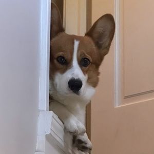 Meet your Posher, Guanting